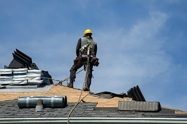 Professional Gutter Installation technician working in Maquoketa, IA